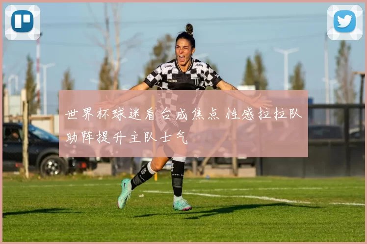 世界杯球迷看台成焦点 性感拉拉队助阵提升主队士气