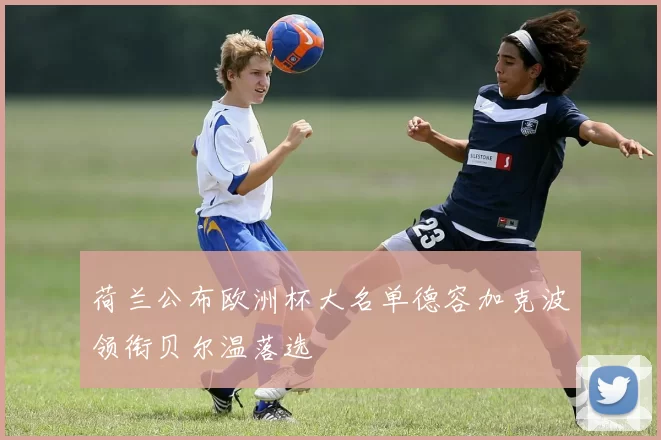 荷兰公布欧洲杯大名单德容加克波领衔贝尔温落选