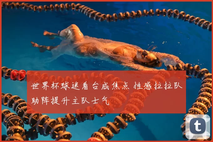 世界杯球迷看台成焦点 性感拉拉队助阵提升主队士气